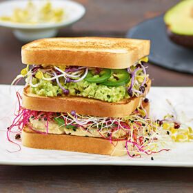 Ölz Sandwich Toast mit Avocado-Hummus, Sprossenvielfalt, gepopptem Amaranth, Koriander und Jalapenos