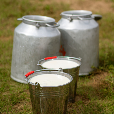 Alpine milk